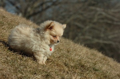 Feb21_07_1206.JPG