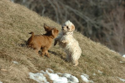 Feb21_07_1220.JPG