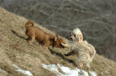 Feb21_07_1221.JPG