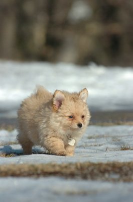 Feb21_07_1226.JPG