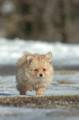 Feb21_07_1227.JPG