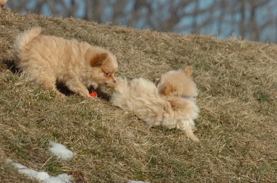 Feb21_07_1237.JPG