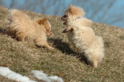 Feb21_07_1238.JPG
