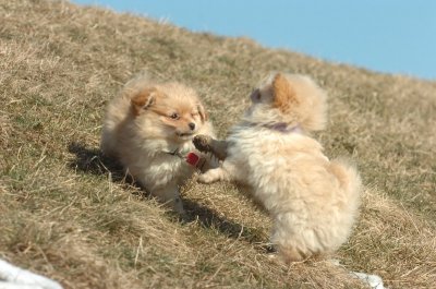 Feb21_07_1239.JPG