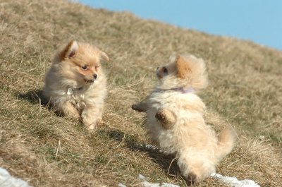 Feb21_07_1240.JPG