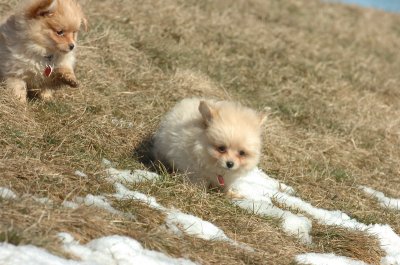 Feb21_07_1241.JPG