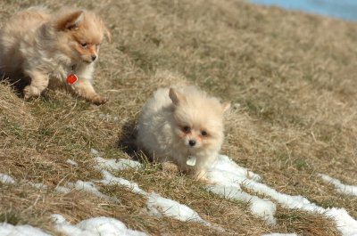 Feb21_07_1242.JPG