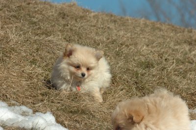 Feb21_07_872.JPG