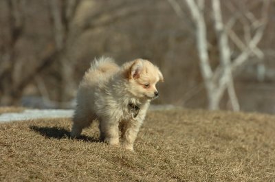 Feb21_07_929.JPG