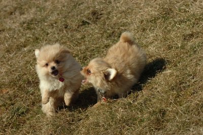 Feb21_07_933.JPG