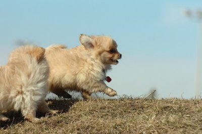 Feb21_07_936.JPG