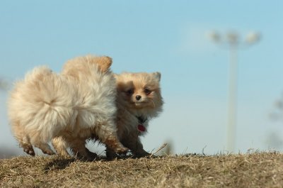 Feb21_07_938.JPG