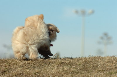 Feb21_07_939.JPG