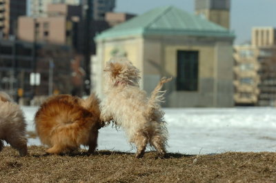 Feb21_07_753.JPG