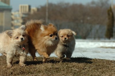 Feb21_07_758.JPG