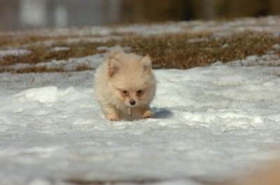 Feb21_07_764.JPG