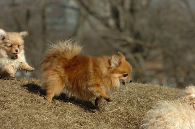 Feb21_07_778.JPG