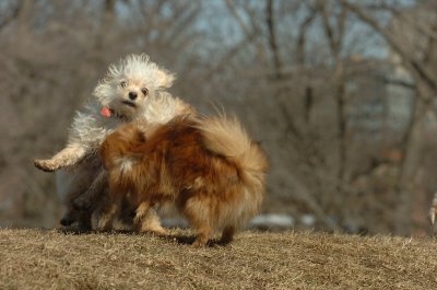 Feb21_07_781.JPG