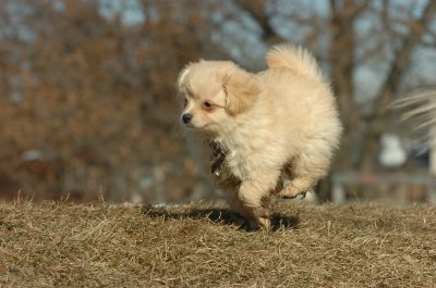 Feb21_07_787.JPG