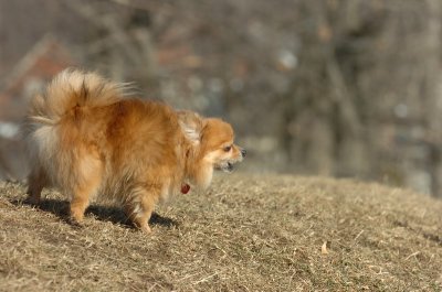 Feb21_07_801.JPG