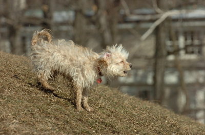 Feb21_07_802.JPG