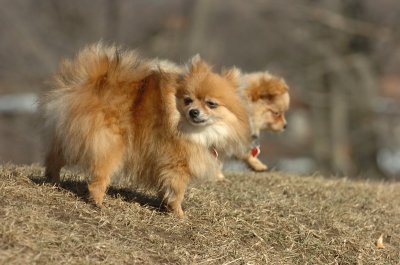 Feb21_07_803.JPG
