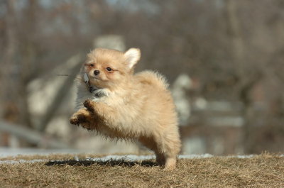 Feb21_07_808.JPG