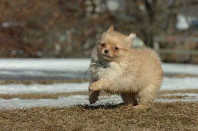 Feb21_07_815.JPG
