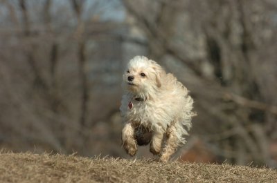 Feb21_07_817.JPG