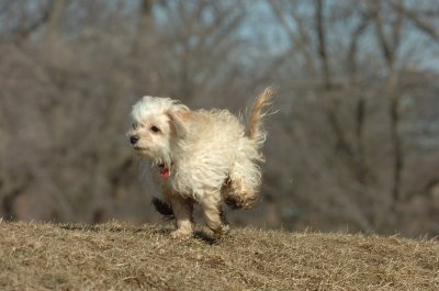 Feb21_07_821.JPG