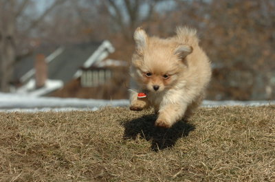Feb21_07_824.JPG