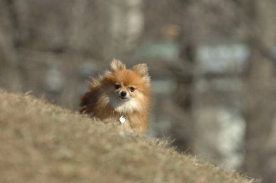 Feb21_07_829.JPG
