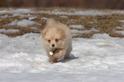 Feb21_07_580.JPG