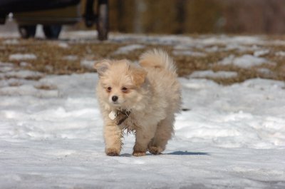 Feb21_07_583.JPG