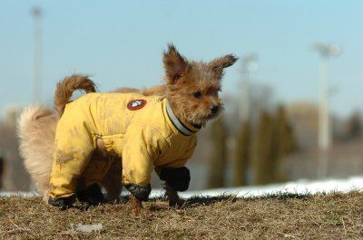 Feb21_07_602.JPG