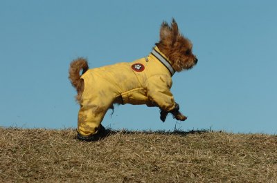 Feb21_07_603.JPG