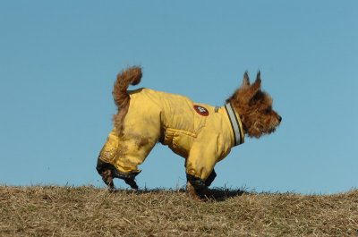 Feb21_07_604.JPG