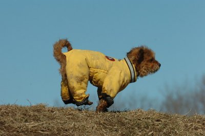 Feb21_07_608.JPG