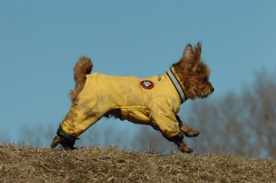Feb21_07_609.JPG