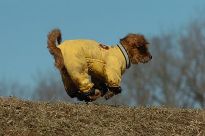 Feb21_07_610.JPG