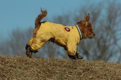 Feb21_07_611.JPG