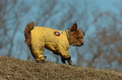 Feb21_07_612.JPG