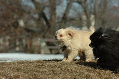 Feb21_07_617.JPG