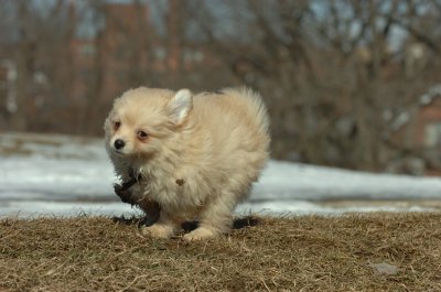 Feb21_07_623.JPG