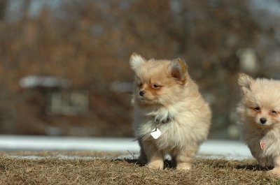 Feb21_07_627.JPG