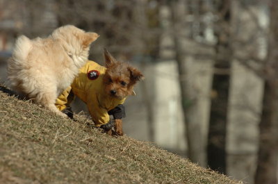 Feb21_07_637.JPG