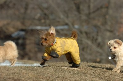 Feb21_07_640.JPG