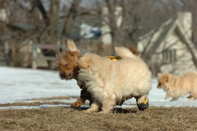 Feb21_07_647.JPG