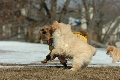 Feb21_07_648.JPG