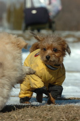 Feb21_07_650.JPG